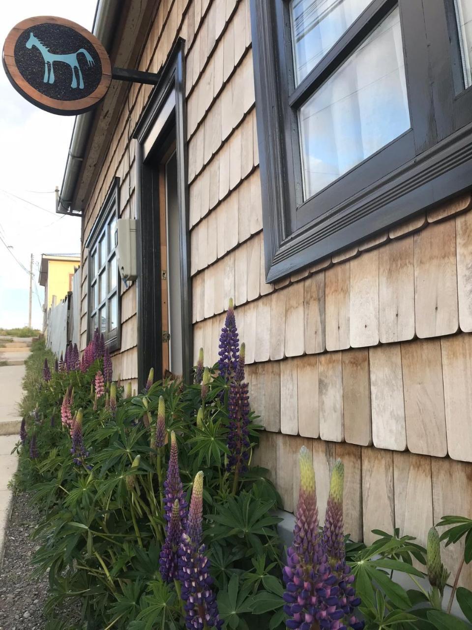 Hotel El Establo Puerto Natales Zewnętrze zdjęcie